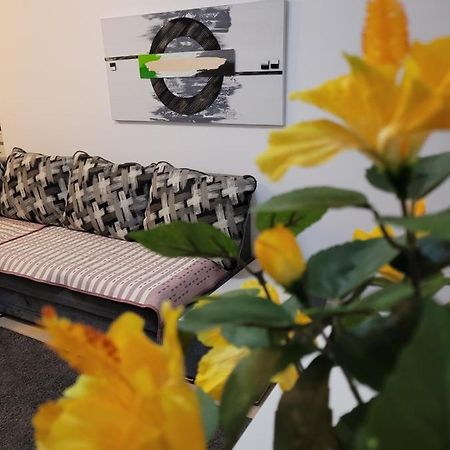Cozy Park Residences 5 布加勒斯特 外观 照片
