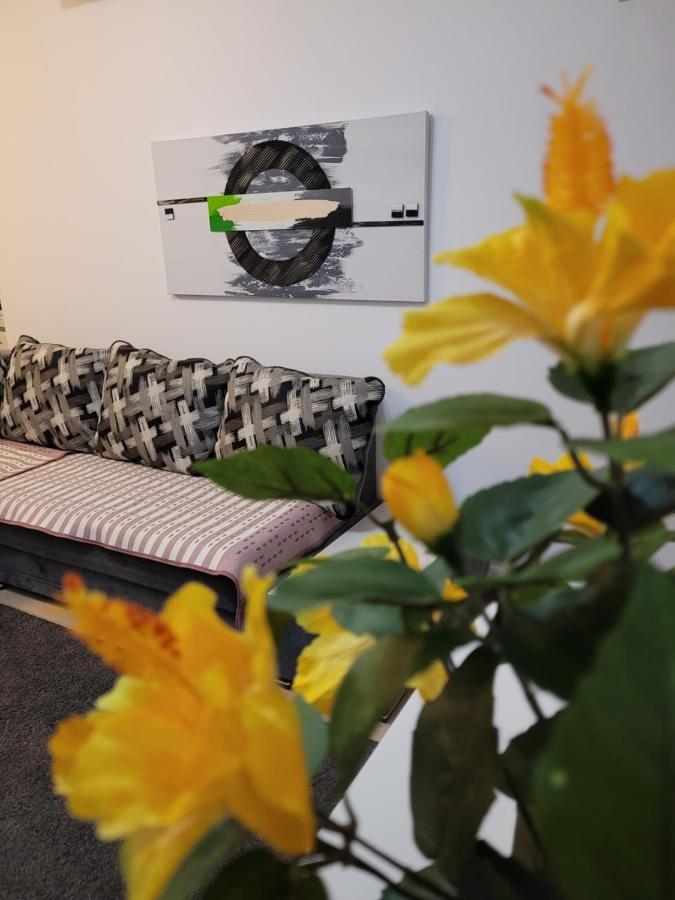 Cozy Park Residences 5 布加勒斯特 外观 照片